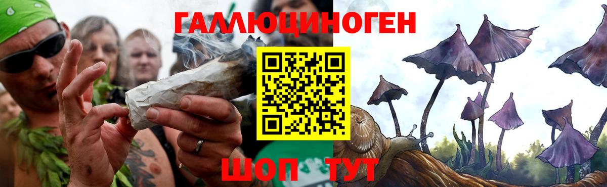 Галлюциногенные грибы прущие грибы Коломна