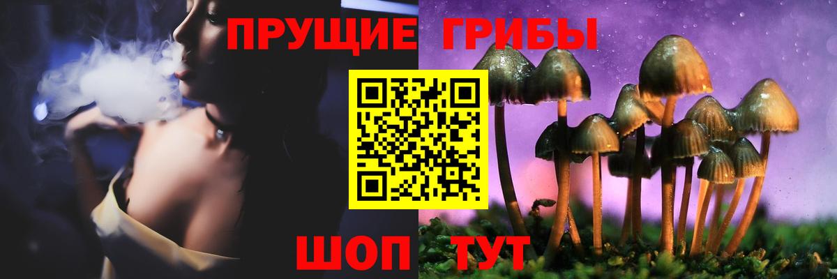 Коломна  Галлюциногенные грибы прущие грибы  Вход с VPN 